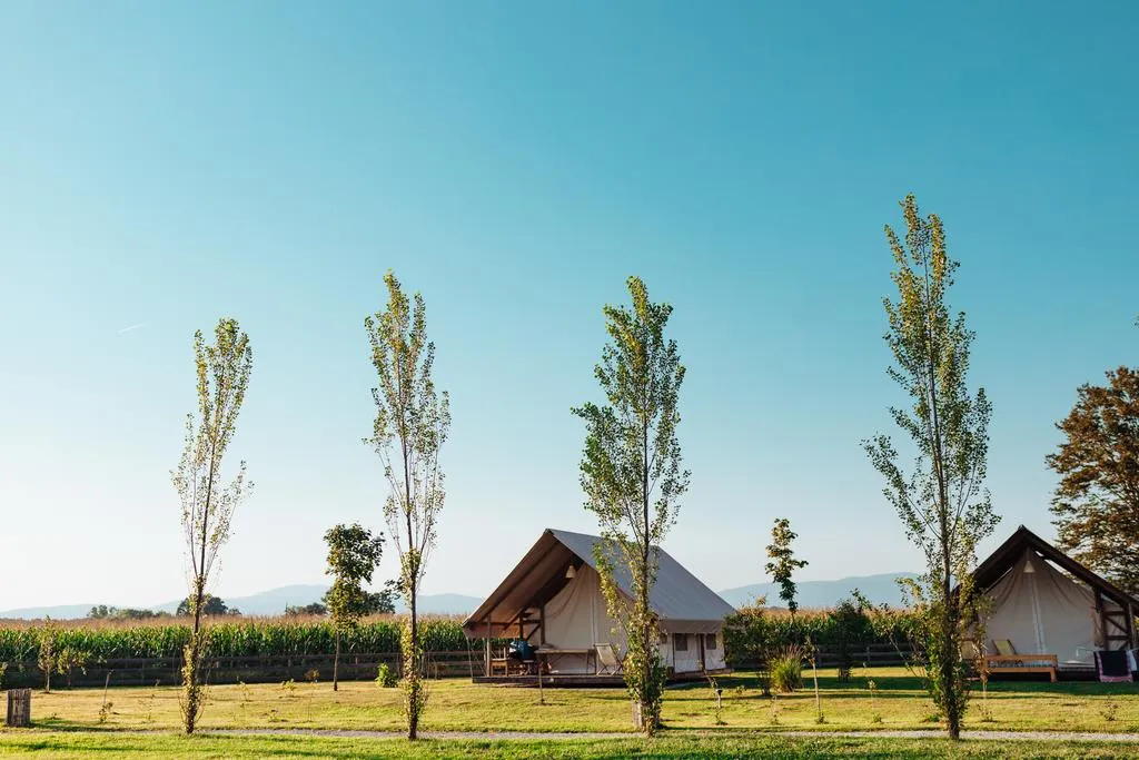 Glamping Kolpa Resort (Foto: Booking.com)