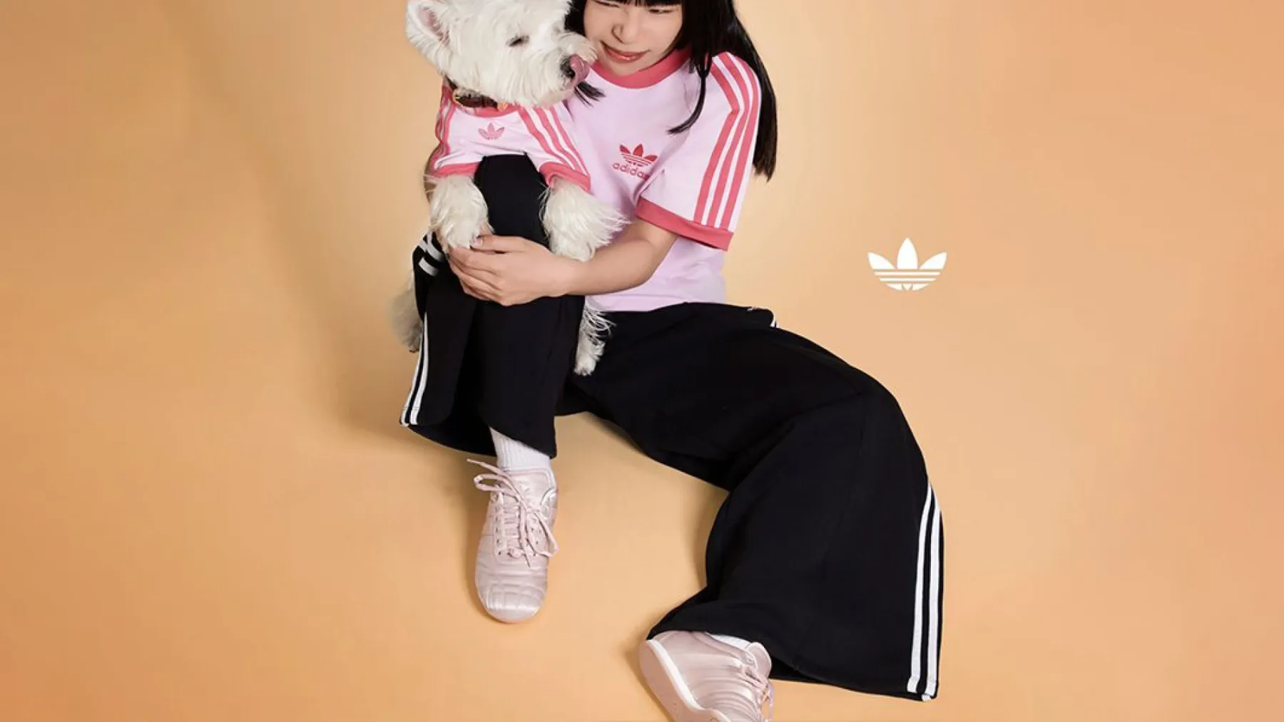 Nova modna obsedenost: Adidas Originals lansira kolekcijo Adidas Originals Pets za hišne ljubljenčke