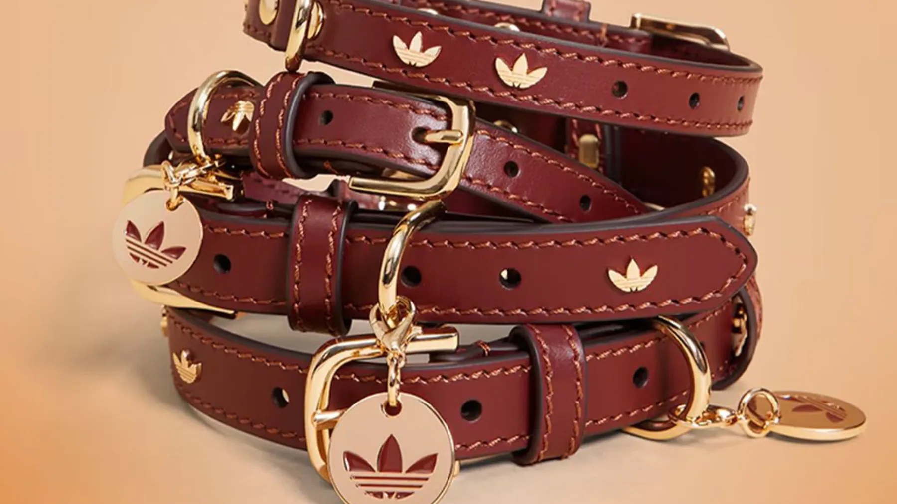 Nova modna obsedenost: Adidas Originals lansira kolekcijo Adidas Originals Pets za hišne ljubljenčke
