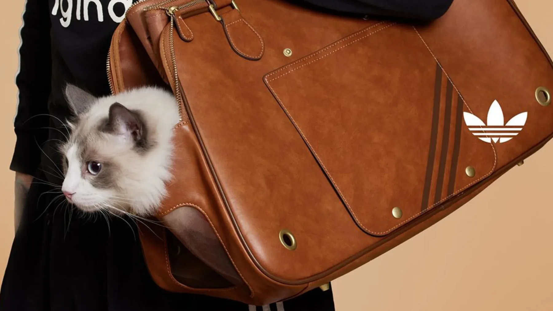 Nova modna obsedenost: Adidas Originals lansira kolekcijo Adidas Originals Pets za hišne ljubljenčke
