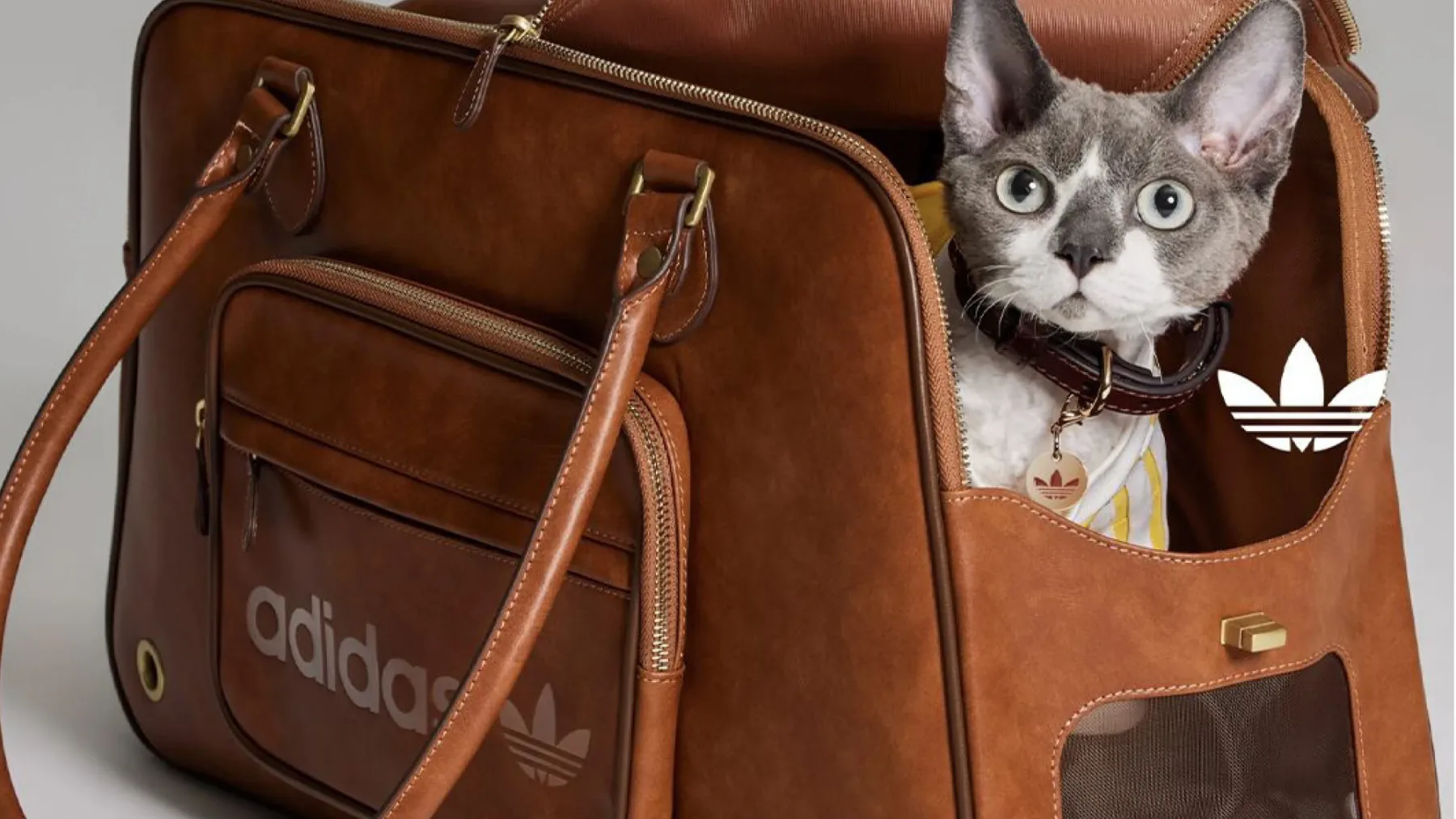 Nova modna obsedenost: Adidas Originals lansira kolekcijo Adidas Originals Pets za hišne ljubljenčke
