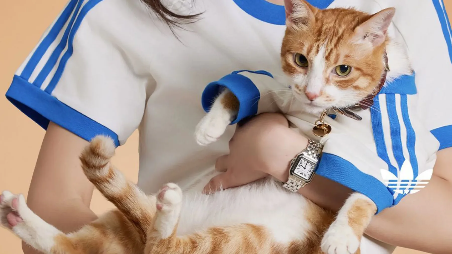 Nova modna obsedenost: Adidas Originals lansira kolekcijo Adidas Originals Pets za hišne ljubljenčke