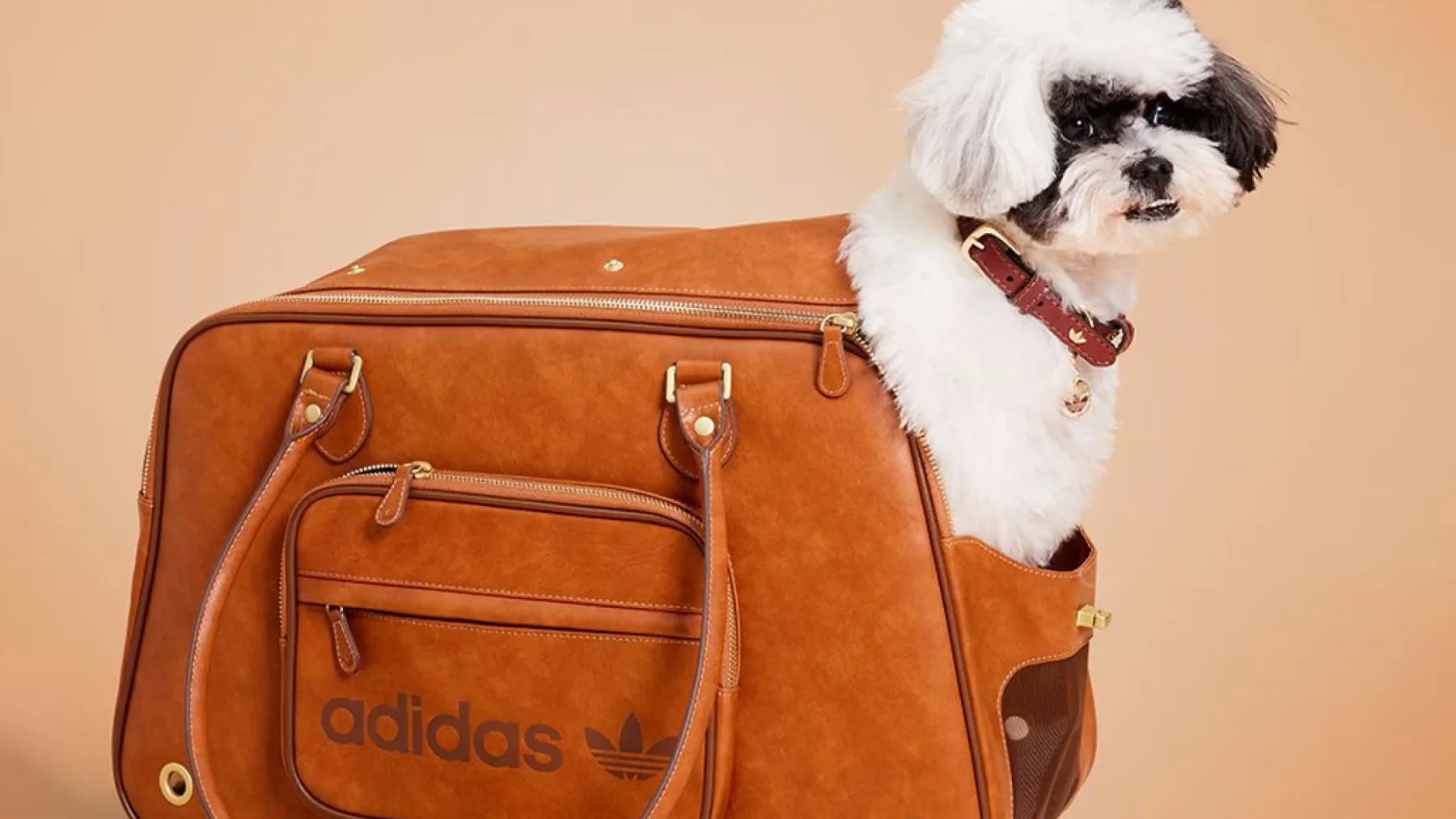 Nova modna obsedenost: Adidas Originals lansira kolekcijo Adidas Originals Pets za hišne ljubljenčke
