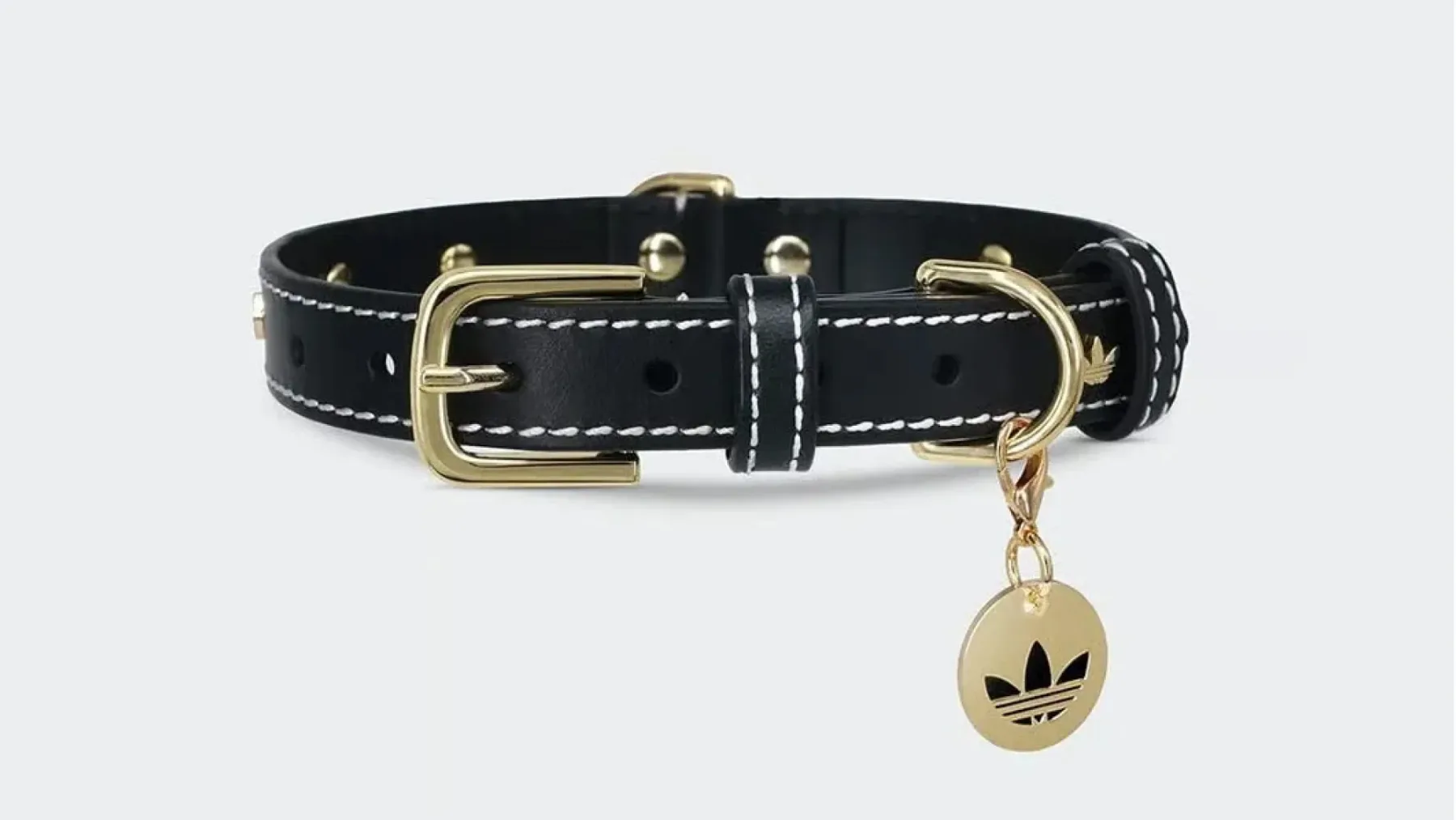 Nova modna obsedenost: Adidas Originals lansira kolekcijo Adidas Originals Pets za hišne ljubljenčke