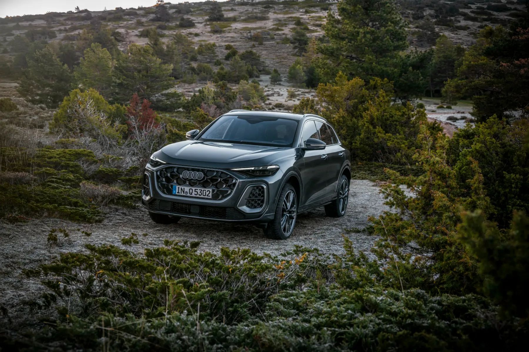 Novi Audi Q5: Popolna evolucija preizkušenega koncepta