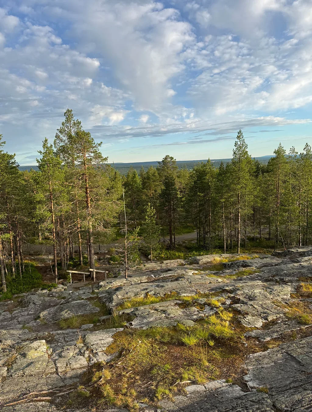 Od Slovenije do arktičnega raja: 22-dnevni družinski road trip do Lofotov z overland vozilom