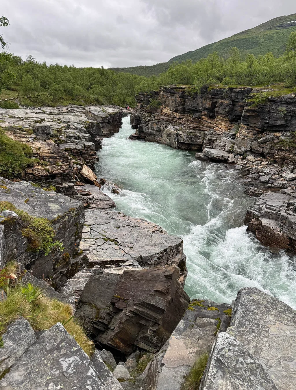 Od Slovenije do arktičnega raja: 22-dnevni družinski road trip do Lofotov z overland vozilom
