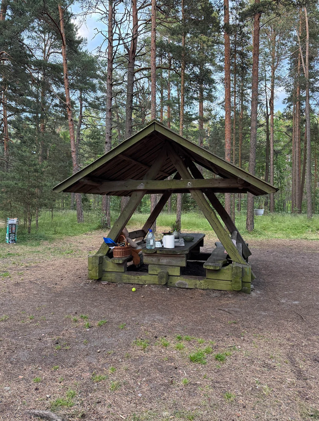 Od Slovenije do arktičnega raja: 22-dnevni družinski road trip do Lofotov z overland vozilom