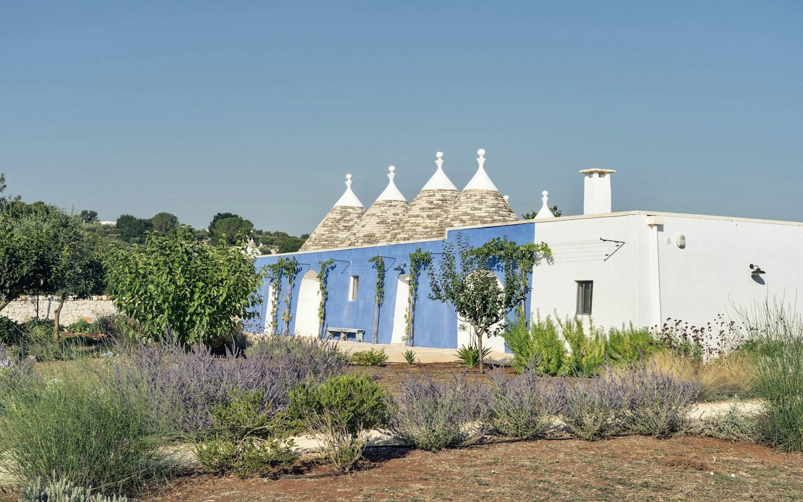 Odkrijte čarobno razkošje v srcu Apulije: Trullo Ciliegio – edinstveno zatočišče