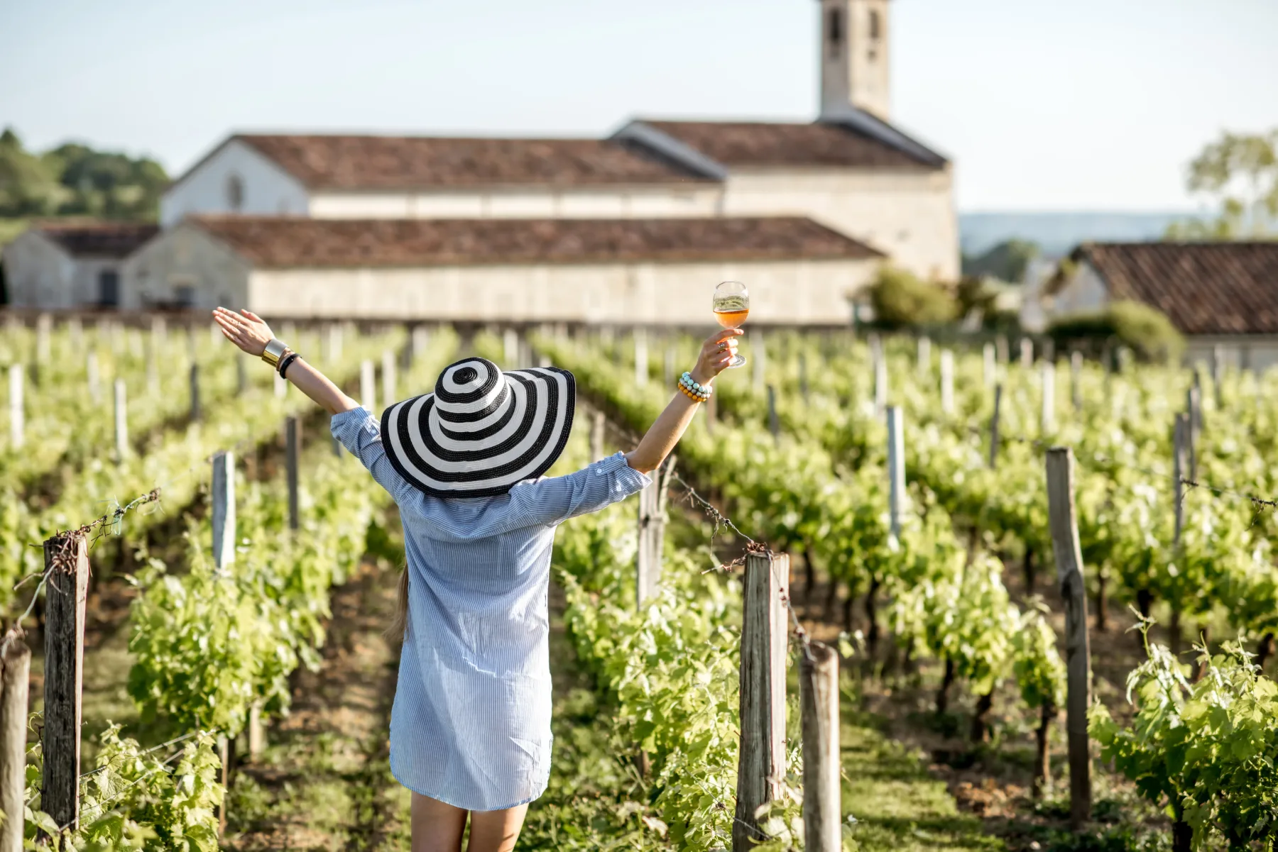 Odkrijte najboljše vinske regije Francije in vina, ki jih morate poskusiti