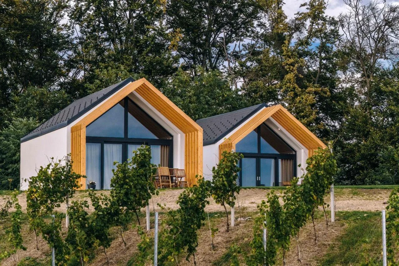 Odkrijte skriti biser Slovenske Štajerske: Wine Resort Mak v objemu vinogradov