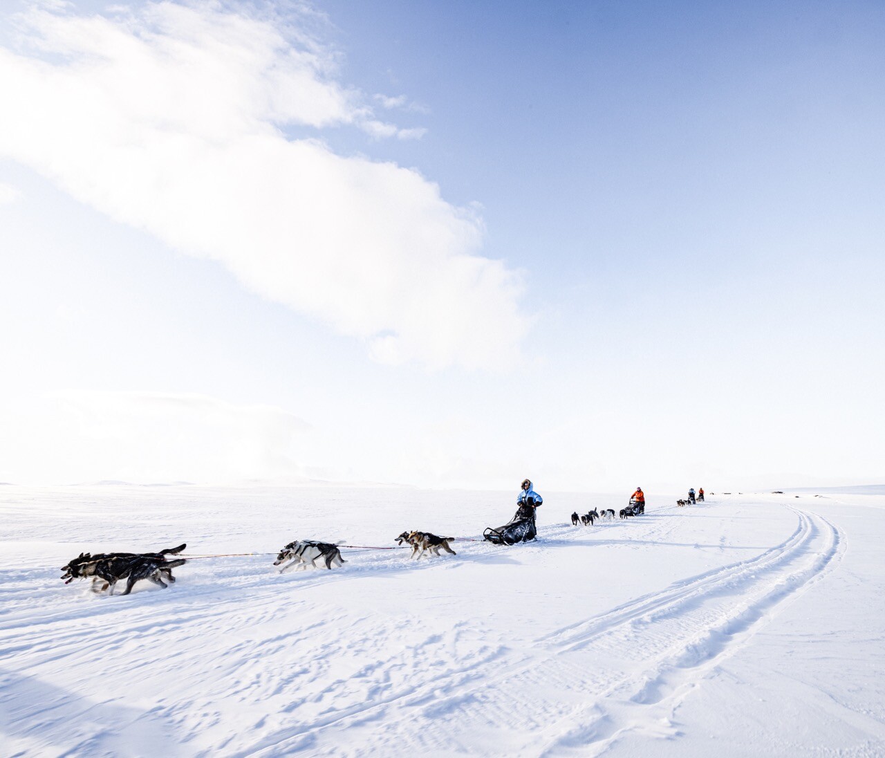 Odpotujte v srce arktične divjine s Fjällräven Polar 2024!