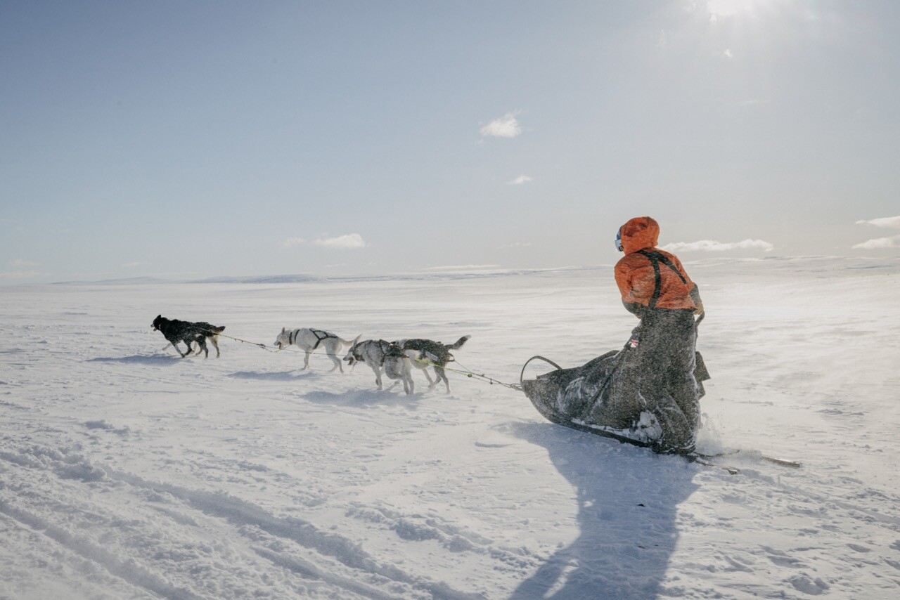 Odpotujte v srce arktične divjine s Fjällräven Polar 2024!