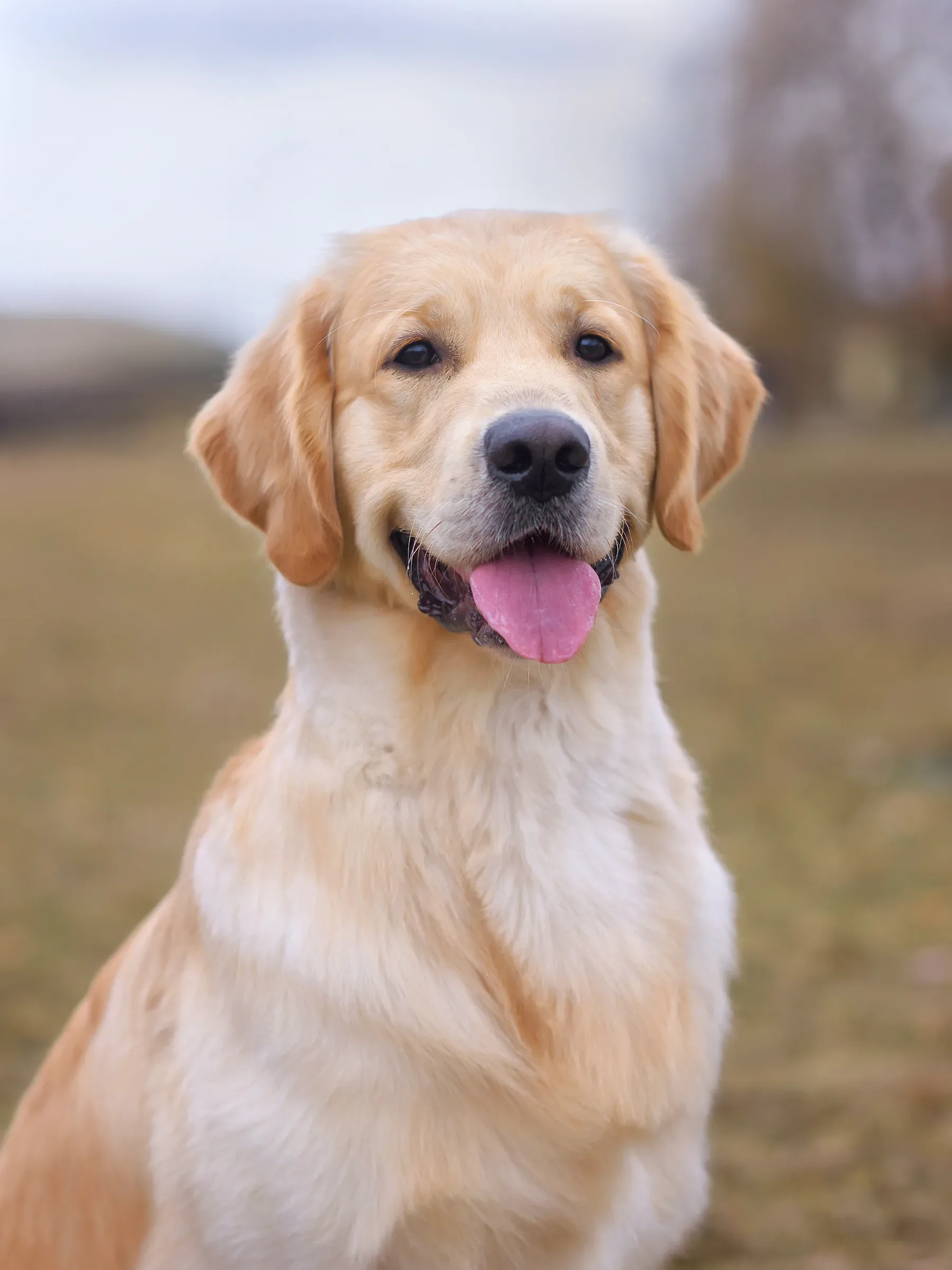 Foto: Envato