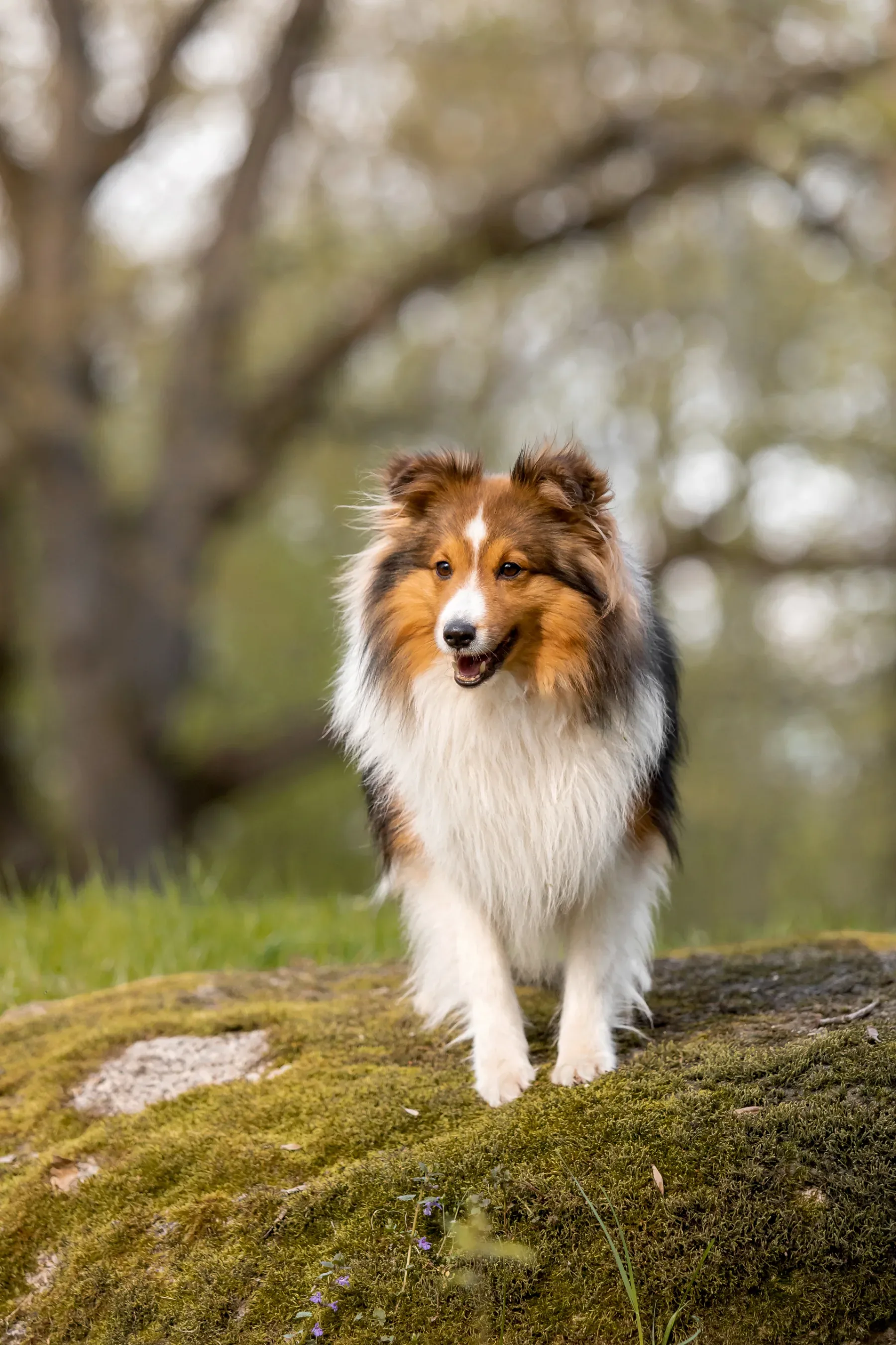 Foto: Envato