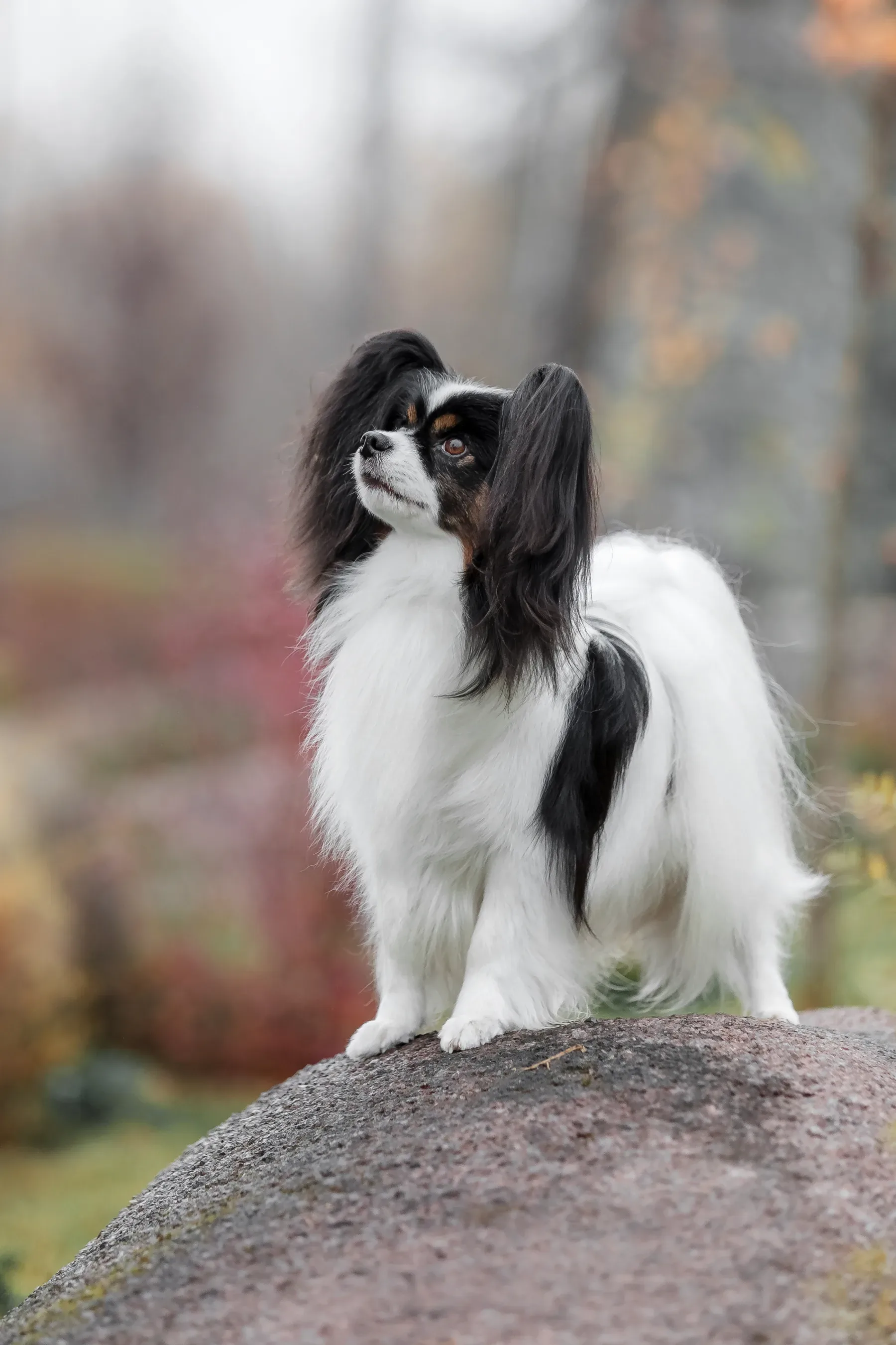 Foto: Envato