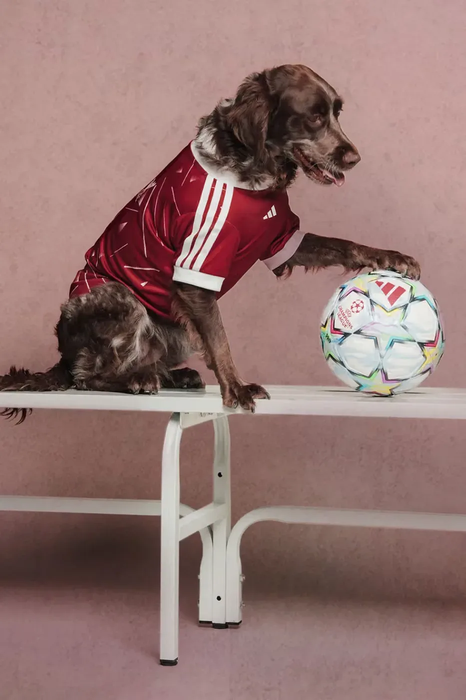Foto: adidas