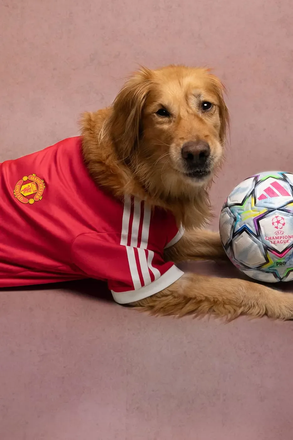 Foto: adidas