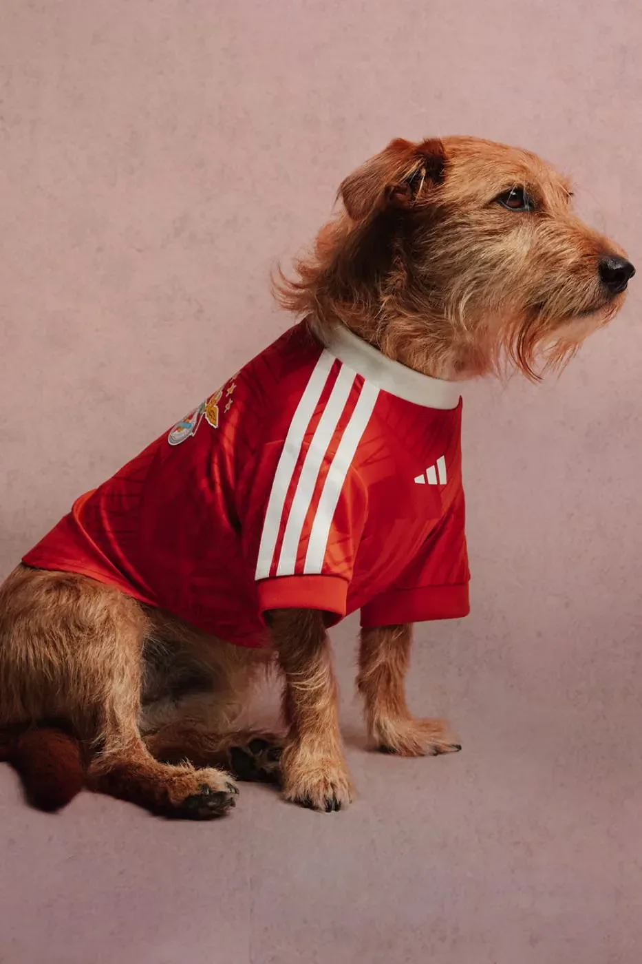 Foto: adidas