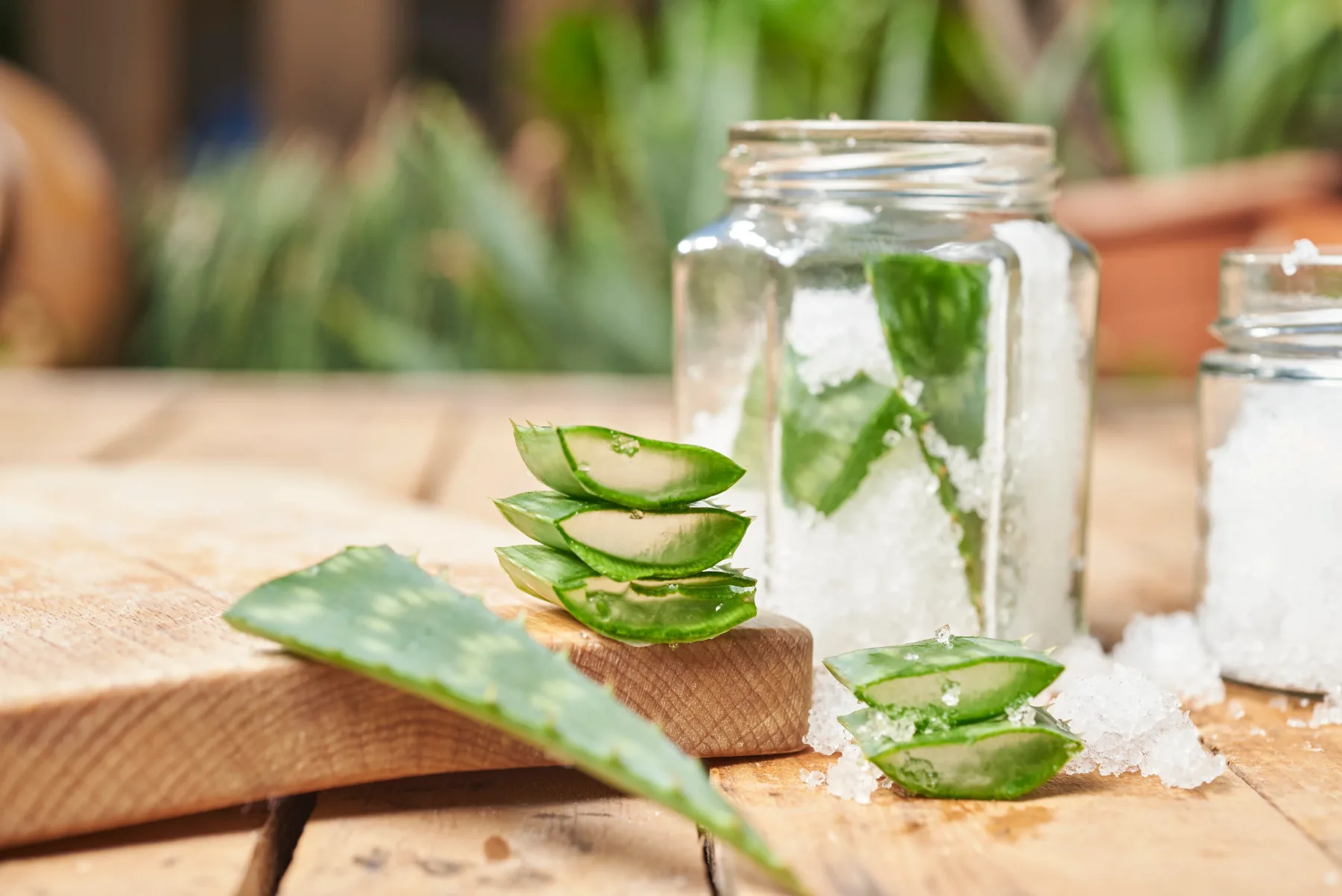 Pozabi na Kiehl’s in Clinique: tale domači aloe vera face wash ti prinese sijočo kožo – brez kemikalij in brez slabe vesti