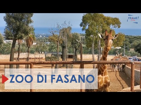 Road Trip Apulija: predlog za slikovit “road trip” po italijanskem južnem dragulju – peti Italije – pokrajini Apuliji
