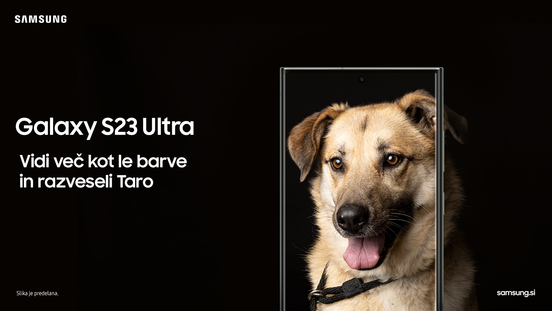 Samsung s kampanjo Vidi več kot le barve spodbudil posvojitev več kot 100 živali iz zavetišč