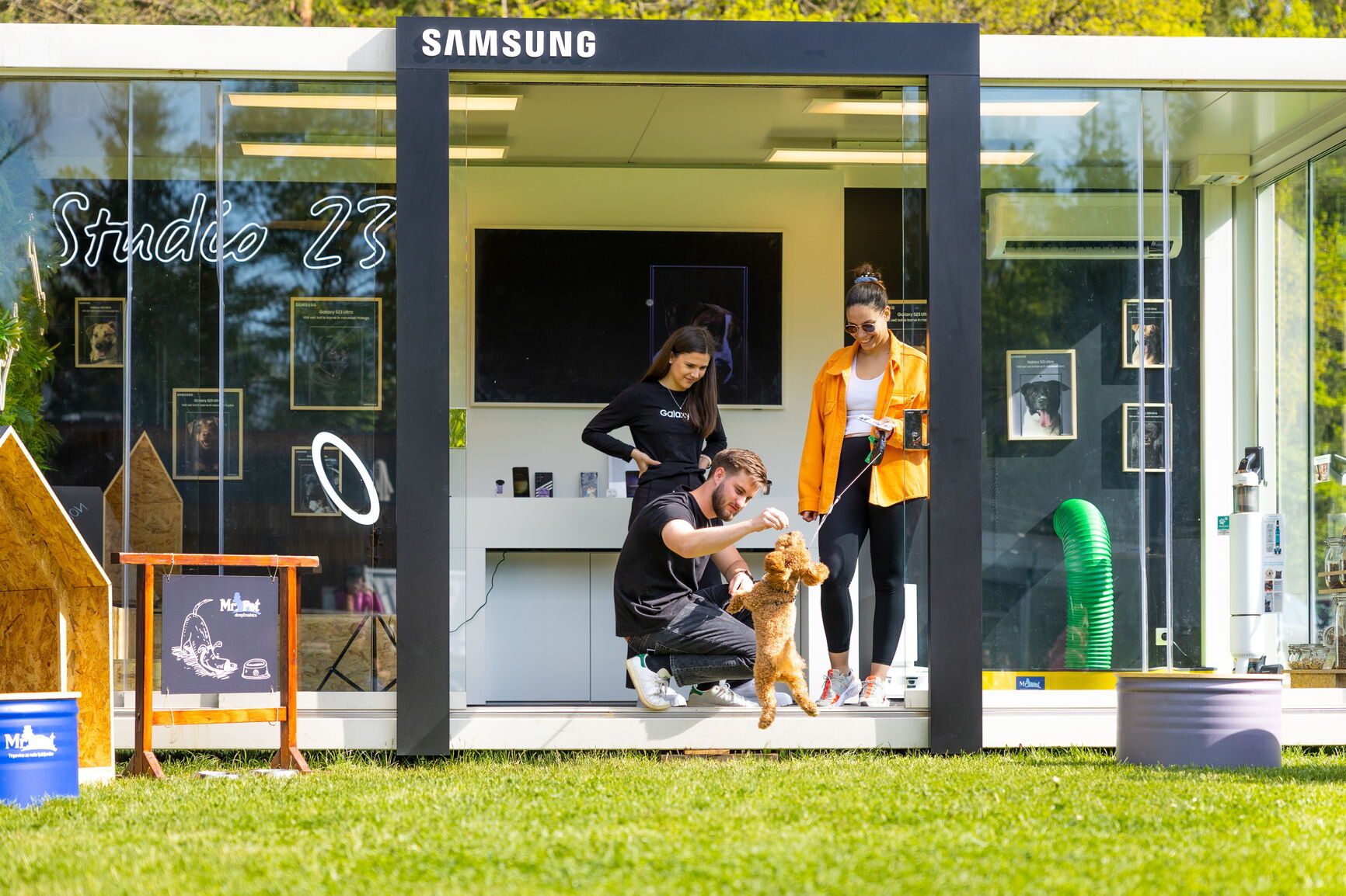 Samsung s kampanjo Vidi več kot le barve spodbudil posvojitev več kot 100 živali iz zavetišč