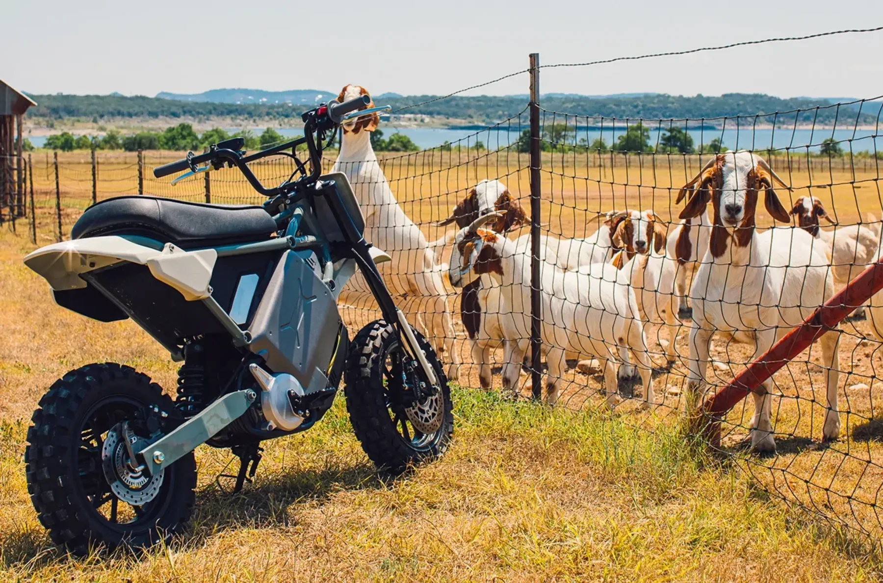 Simpatični LiveWire S4 Honcho – električni mini-bike, ki ima več smisla kot marsikateri SUV