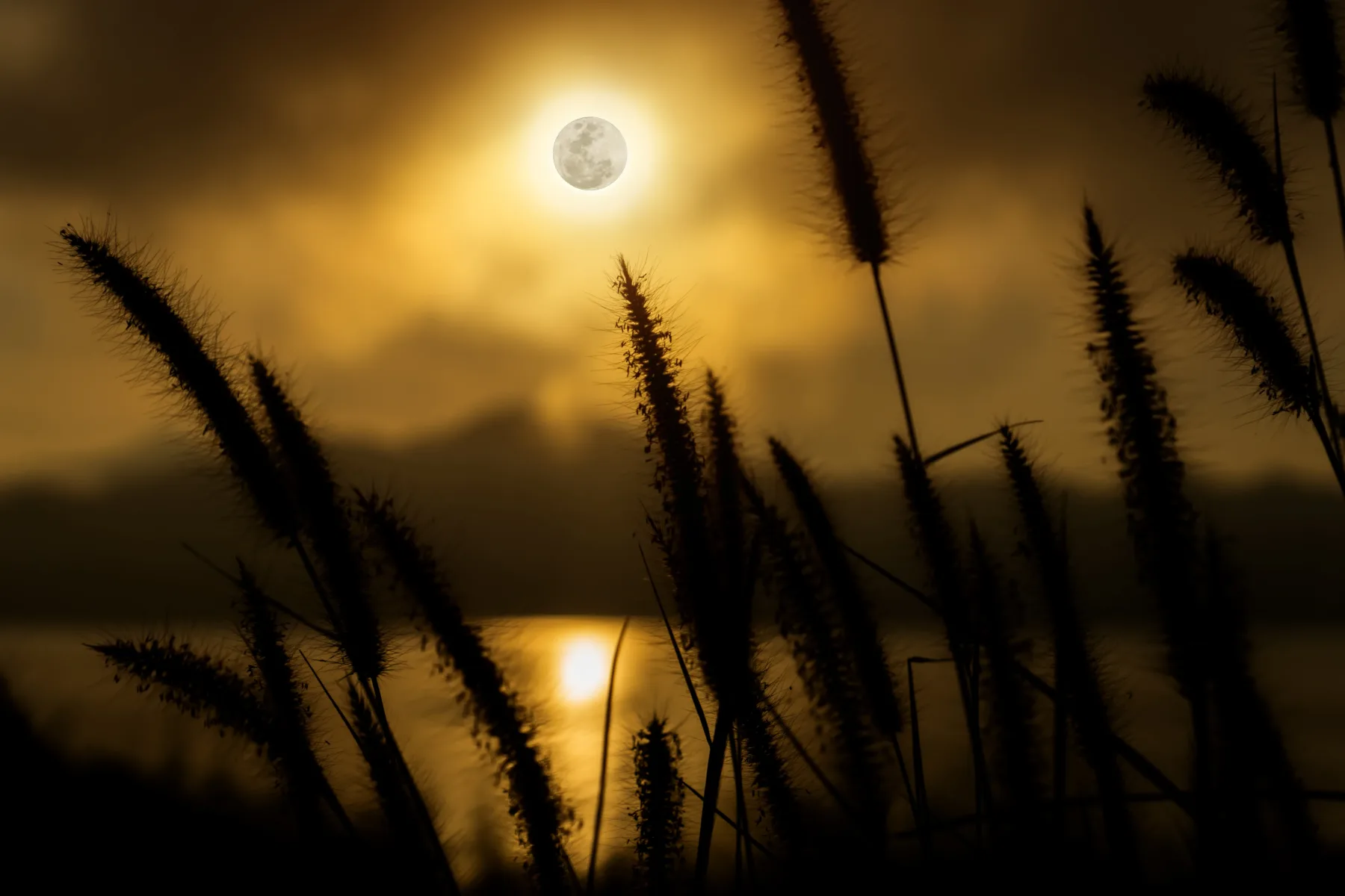 Sončev mrk 12. avgusta 2026: Slovenijo čaka izjemna nebesna predstava