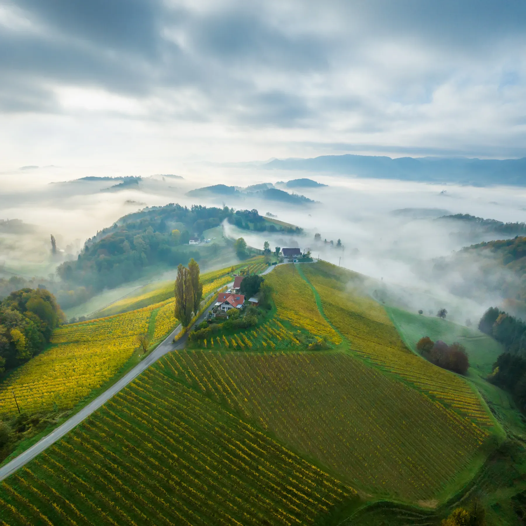 Foto: envato