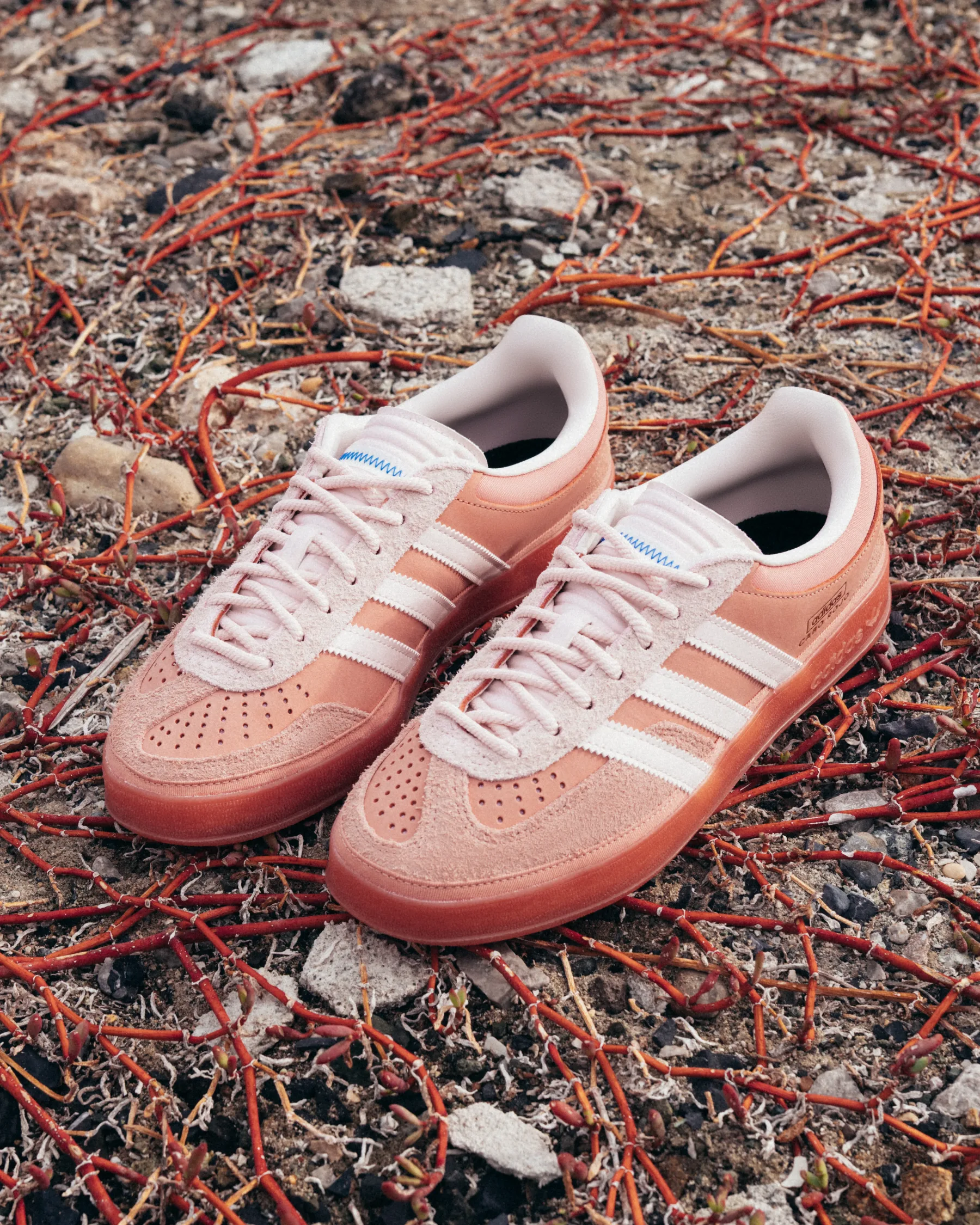 To ni še ena rožnata superga. To je adidas Originals Gazelle Cabo Rojo – superga jeseni 2025