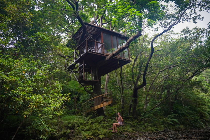 Treeful Treehouse Sustainable Resort