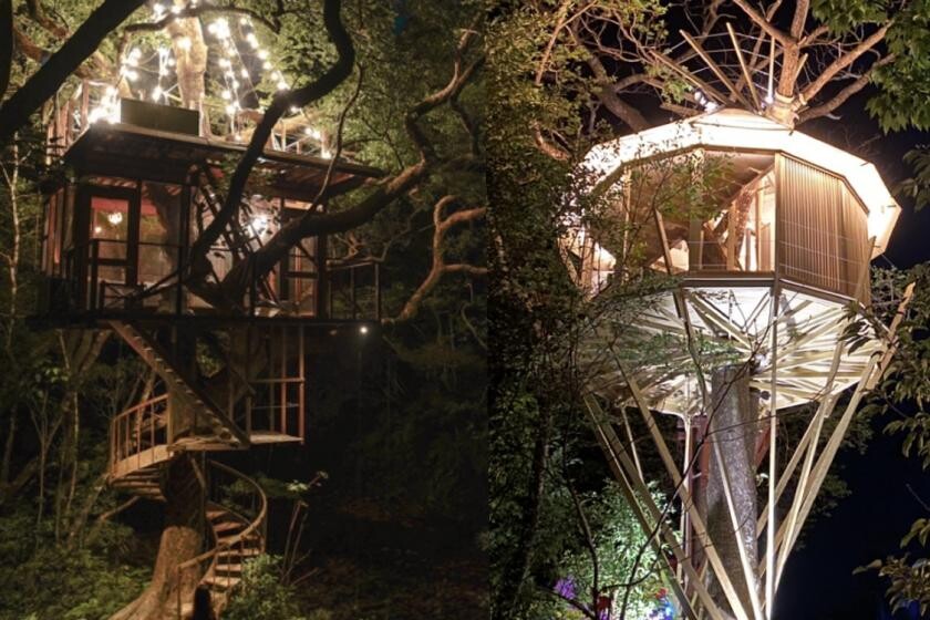 Foto: Treeful Treehouse Sustainable Resort