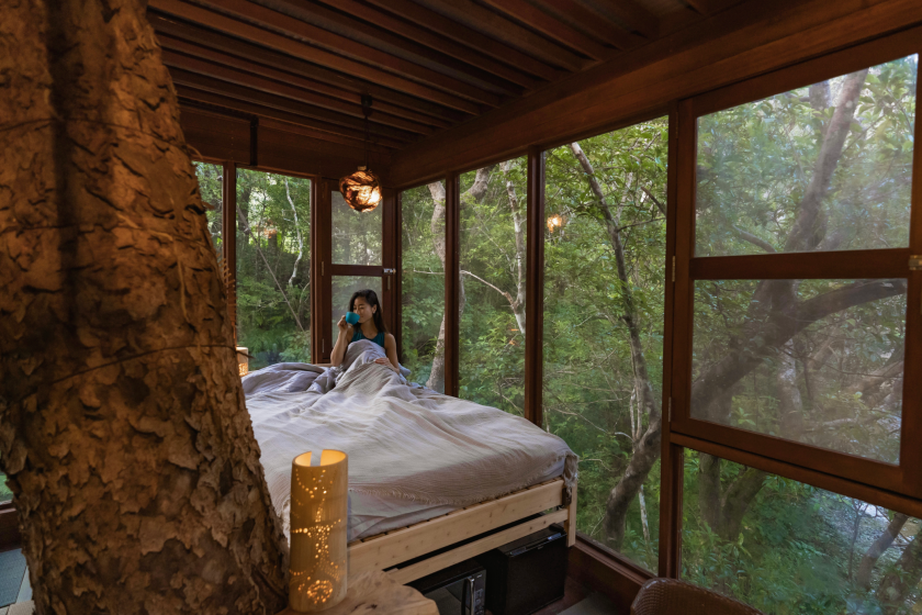 Foto: Treeful Treehouse Sustainable Resort