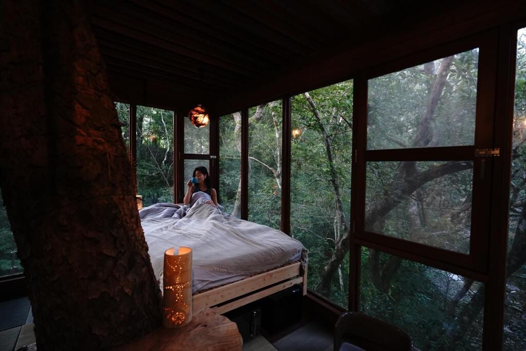 Foto: Treeful Treehouse Sustainable Resort