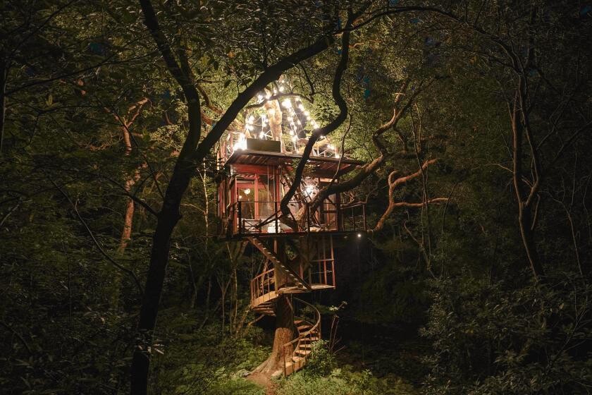 Treeful Treehouse Sustainable Resort, Okinawa: Kjer narava sreča razkošje