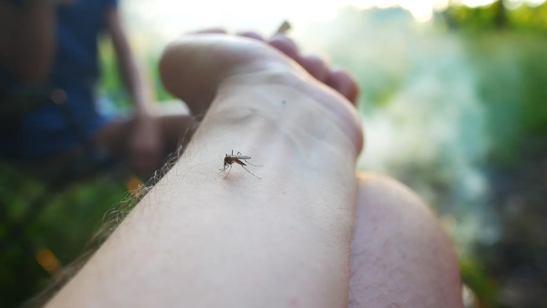 Trik z vročo žlico, ki pomiri ugriz komarja in ustavi srbenje v manj kot 30 sekundah