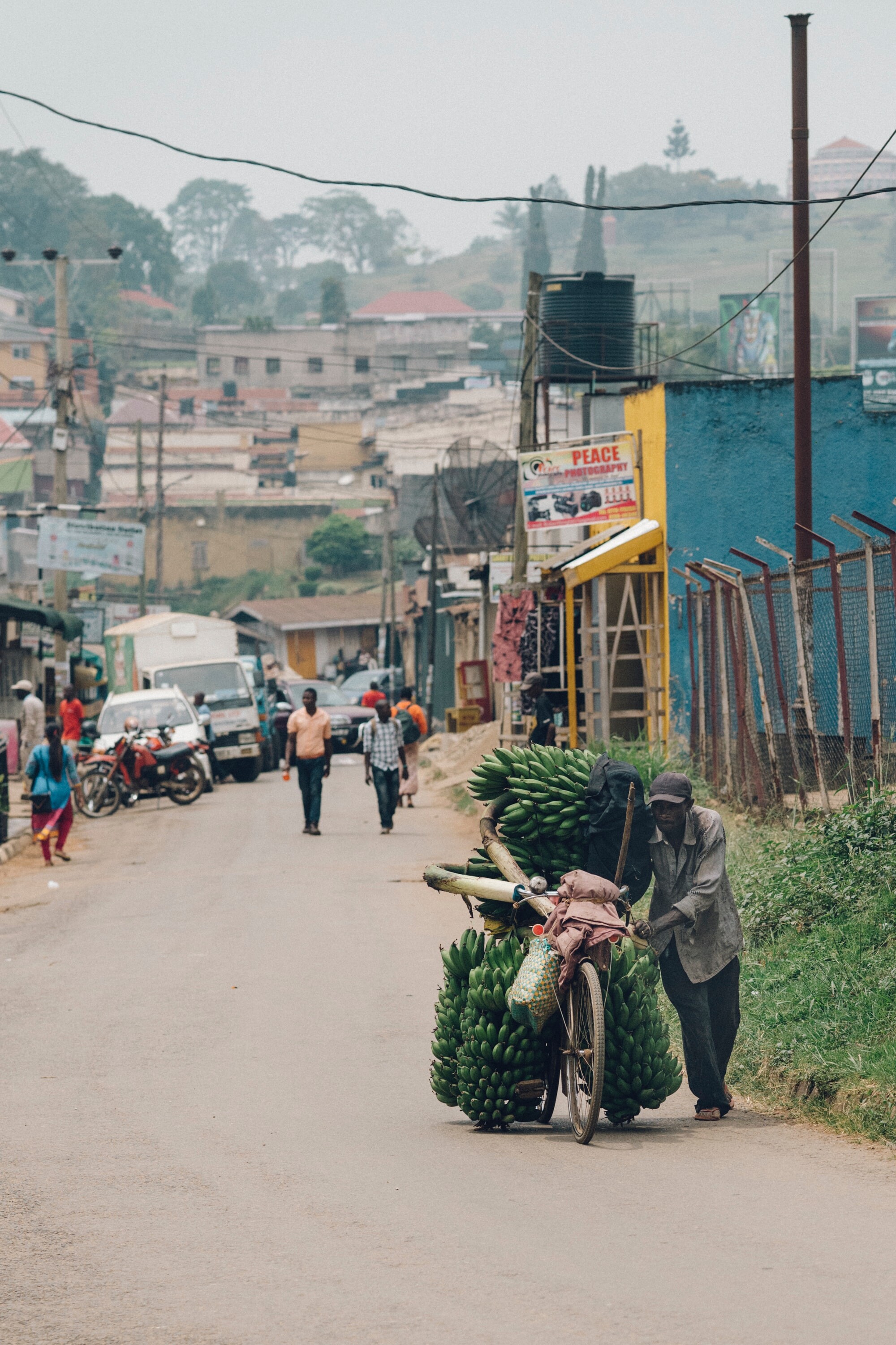 Uganda: v družbi neverjetnih primatov in prvinske narave