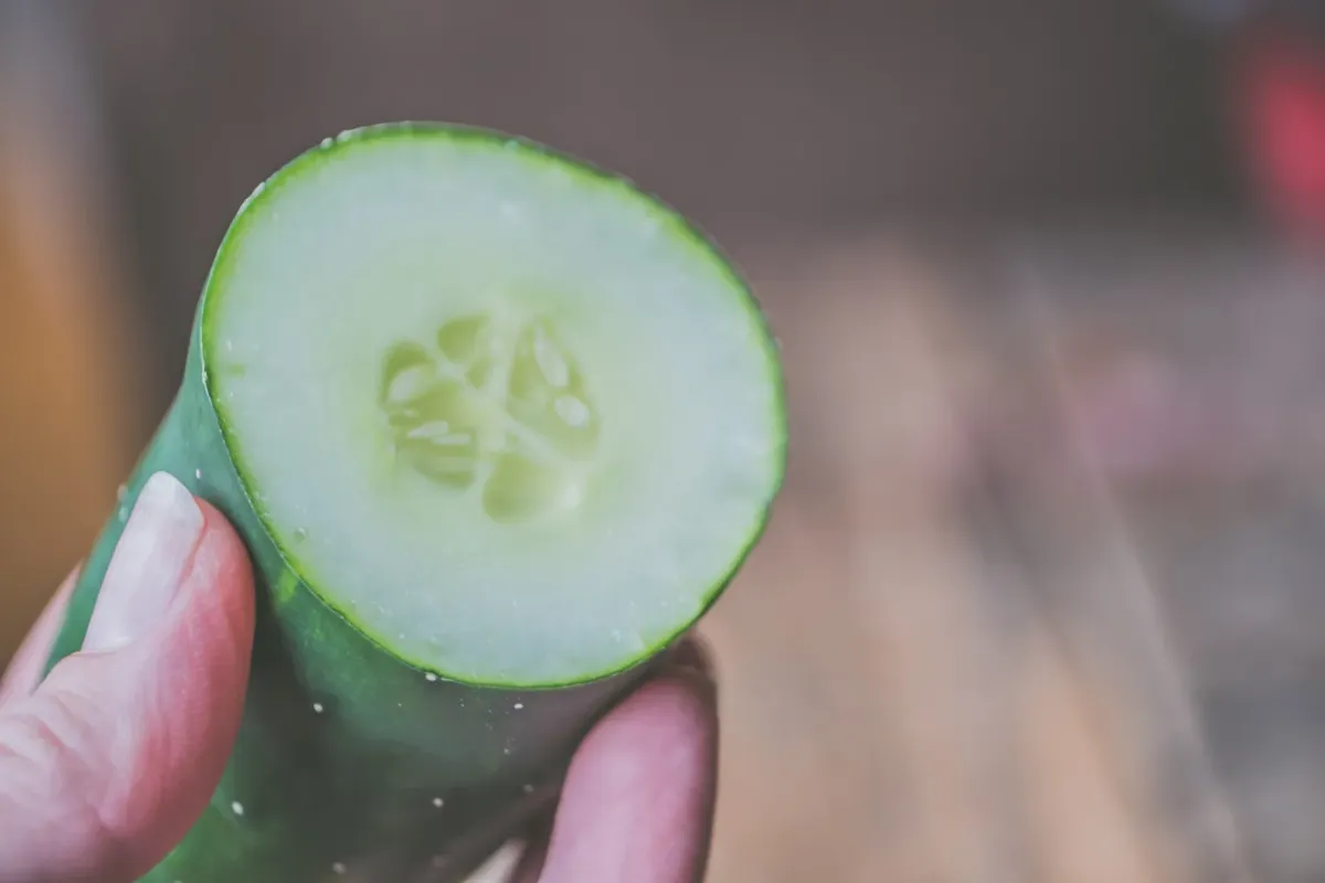 zamrznjena kumara
