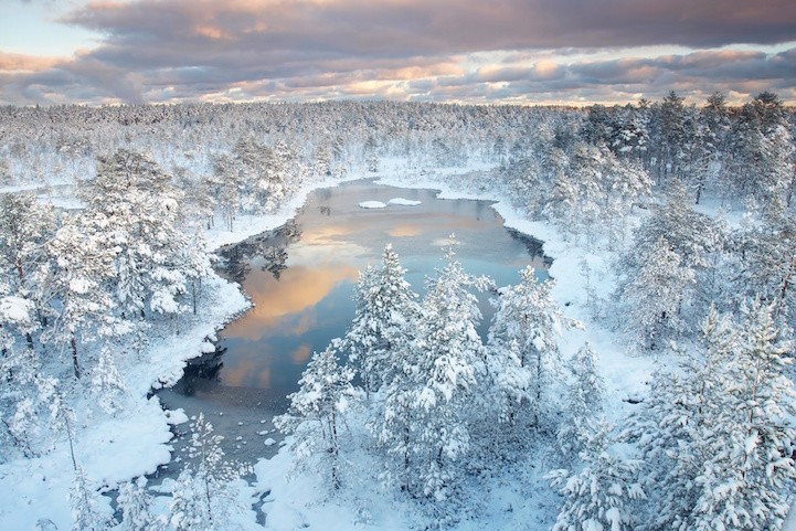 Estonija