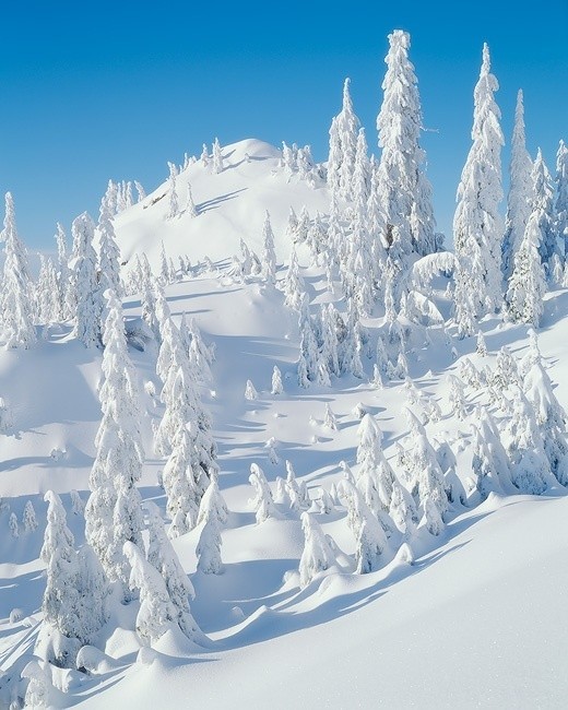 Mt. Seymour, Britanska Kolumbija, Kanada