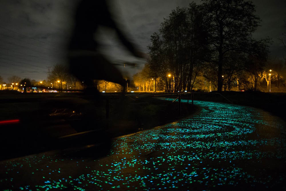 Bike path inspired by Van Gogh's Starry Night