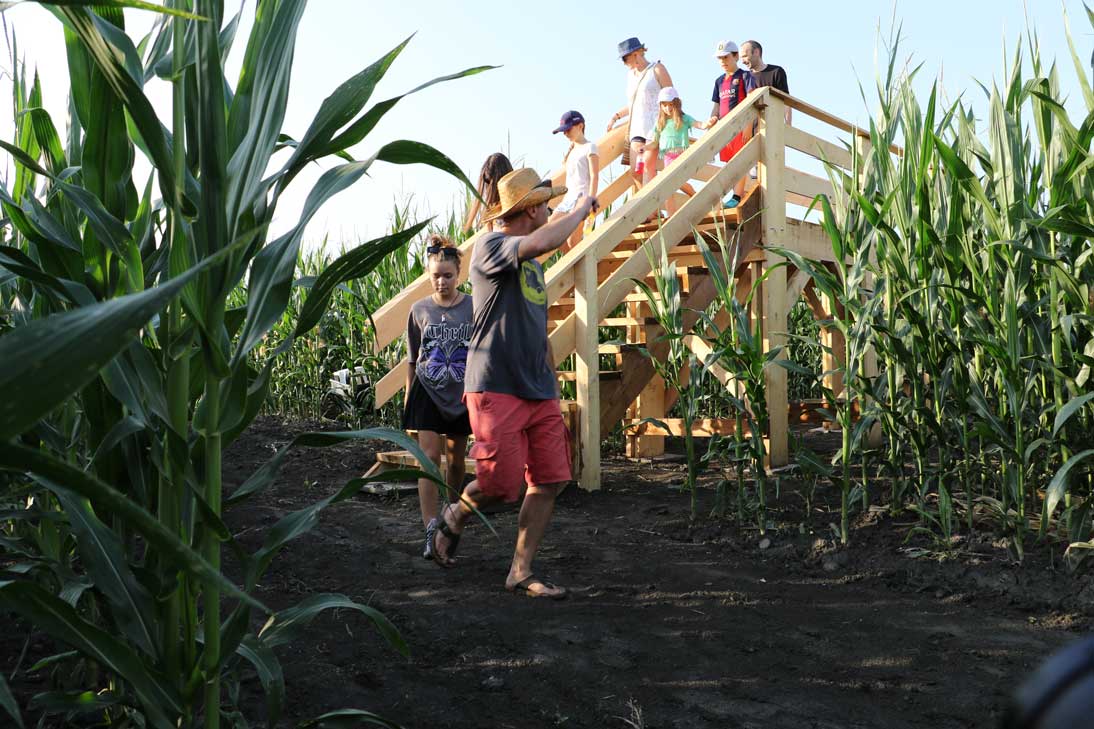 Corn maze Krtina: an unforgettable adventure near Ljubljana