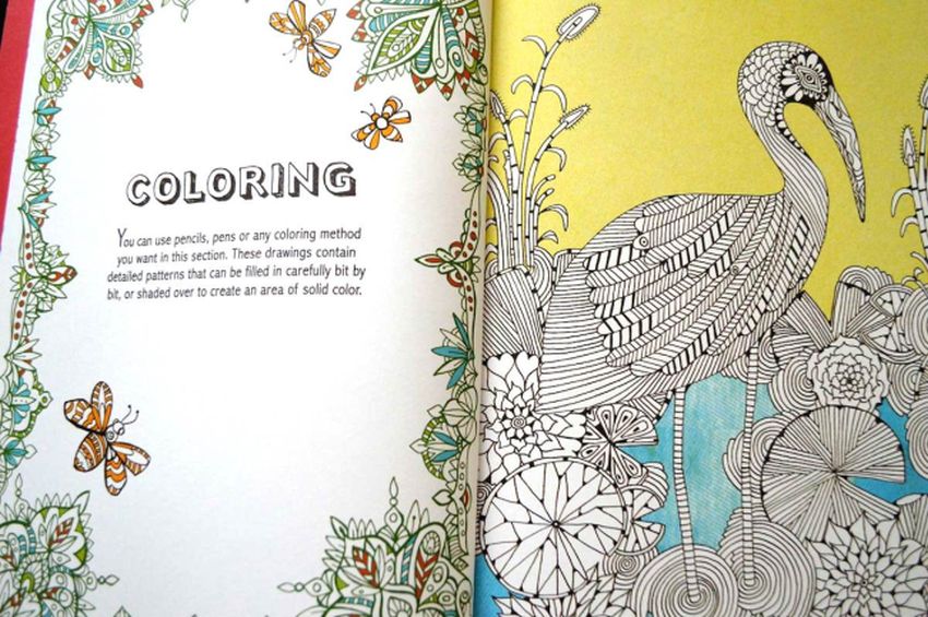 Un libro para colorear antiestrés: Un libro para colorear antiestrés para  adultos