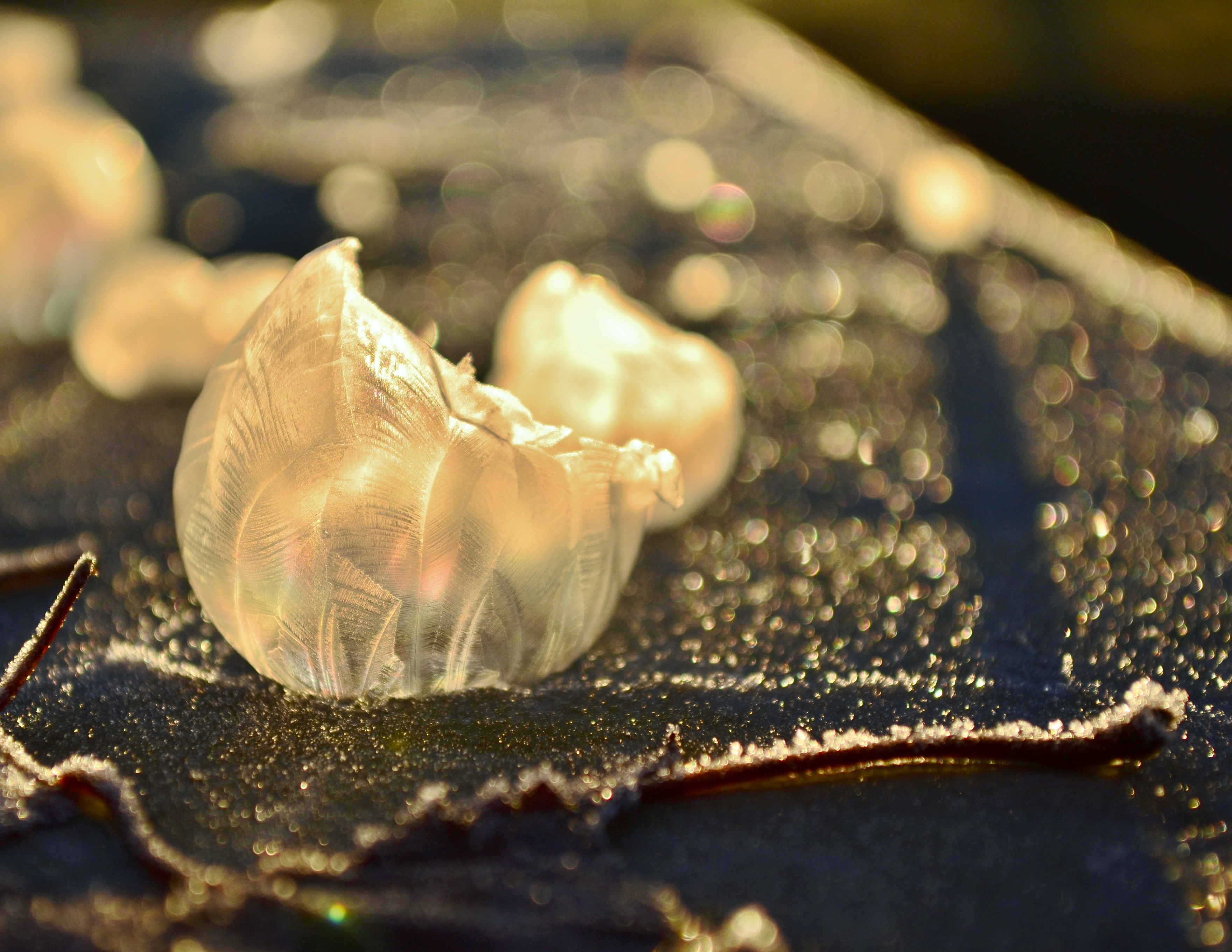 Arte Frozen in una bolla di sapone