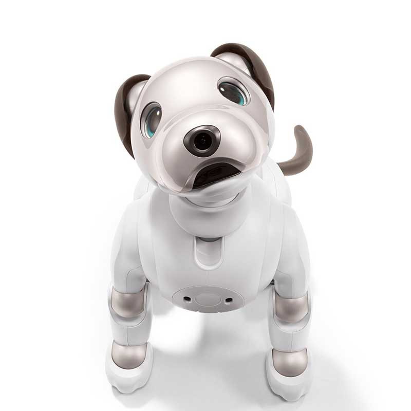 Sony Aibo: Il tuo nuovo cucciolo preferito può anche essere un robot