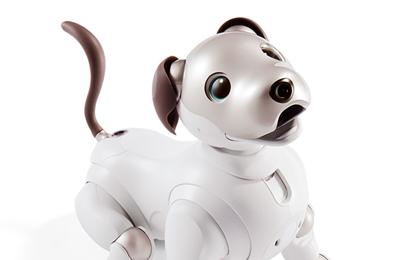 Sony Aibo: Il tuo nuovo cucciolo preferito può anche essere un robot