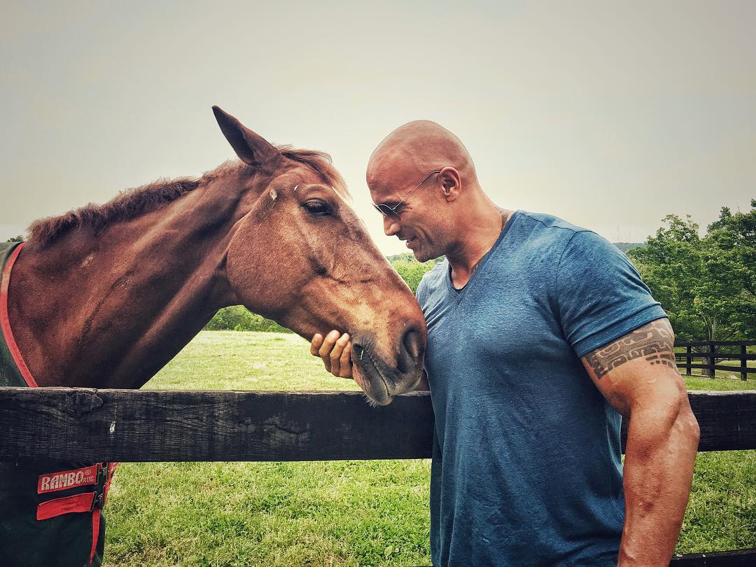 Minha paixão meu amor!  The rock dwayne johnson workout, The rock dwayne  johnson, Dwayne johnson