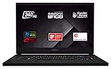 MSI GS66 10SE-229 Stealth (39,6 cm/15,6 Zoll/240Hz)...