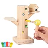 FORMIZON Montessori Spielzeug, Magnetischer Specht...